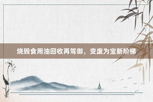 烧毁食用油回收再驾御，变废为宝新阶梯