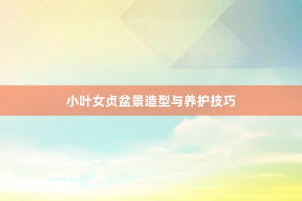 小叶女贞盆景造型与养护技巧